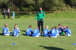 米兰全站APP下载-中国篮球教练员技术战术创新能力提升路径，篮球教练发展