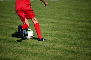 ac米兰官方网站-中国青少年篮球运动员伤病防控体系建设，青少年篮球训练现状分析